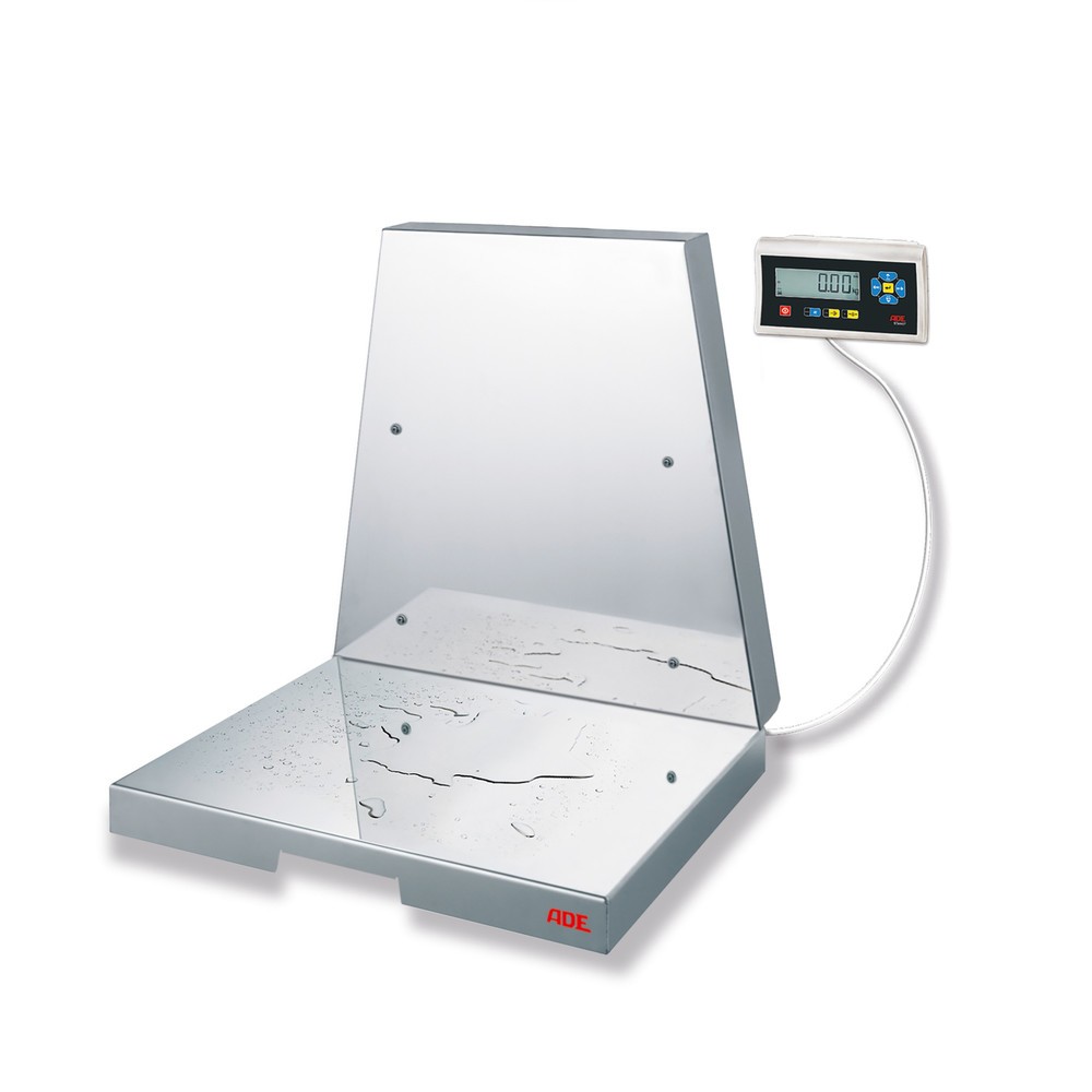 Produktabbildung: ADE Wandwaage TerrexN-150e-IP+STAN07, geeicht