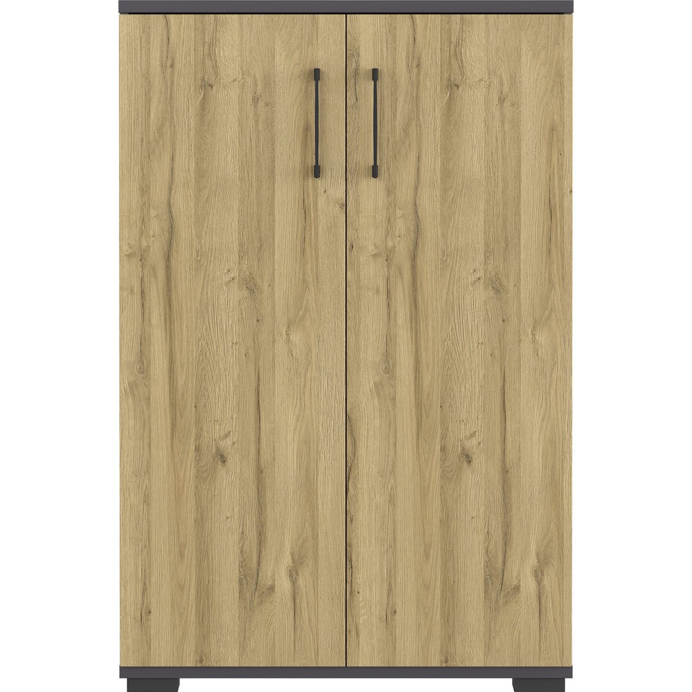 N° de l'image du produit 2 : Armoire à dossiers PROFI, 2 portes battantes, hauteur 1 230 mm, largeur 800 mm, graphite/imitation chêne Grandson