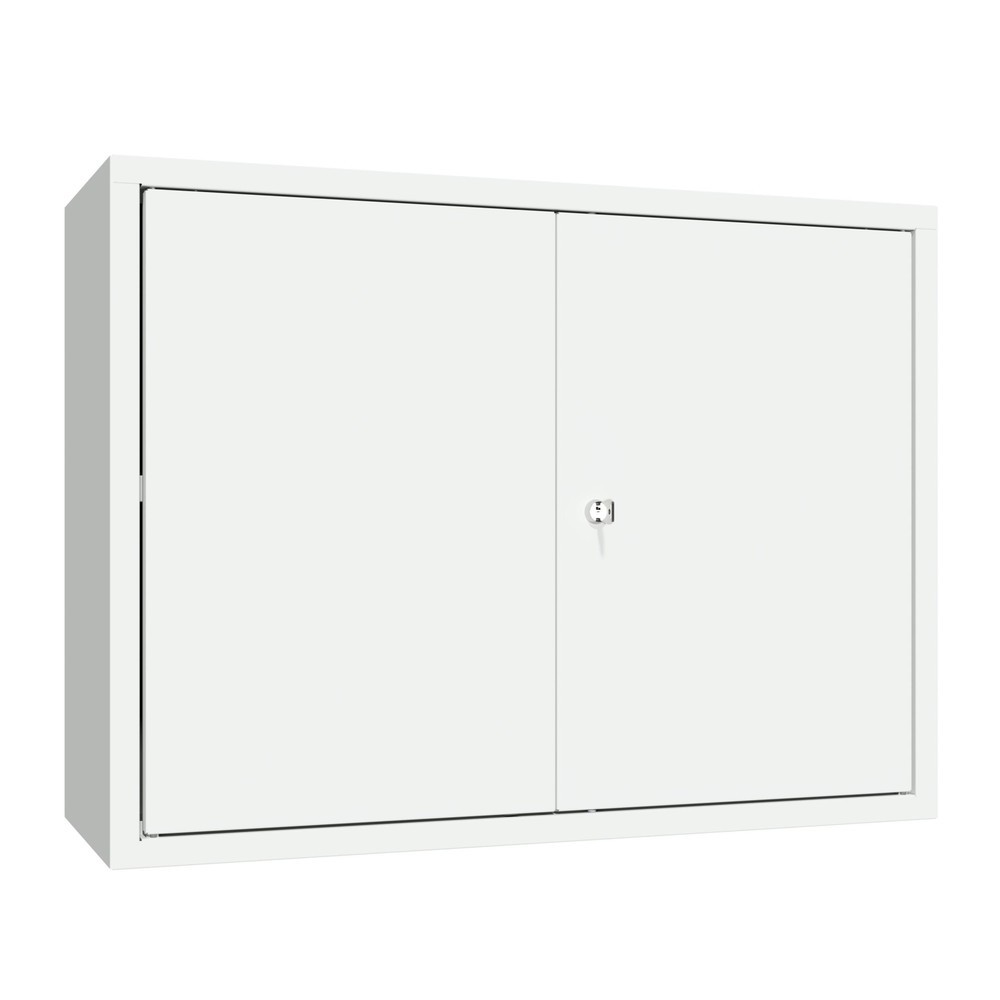 N° de l'image du produit 2 : Armoire suspendue PAVOY, H x l x P 600 x 800 x 300 mm, gris clair, gris clair