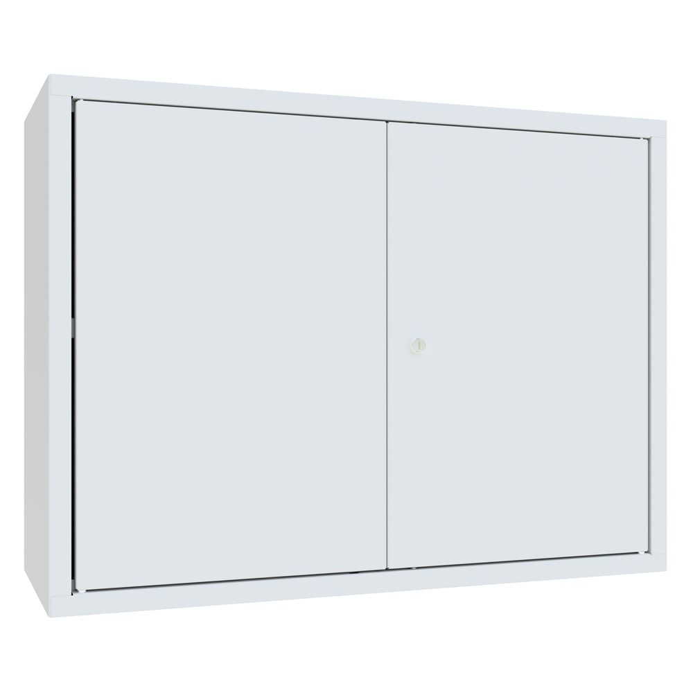 N° de l'image du produit 1 : Armoire suspendue PAVOY, H x l x P 600 x 800 x 300 mm, paroi arrière perforée, gris clair, gris clair