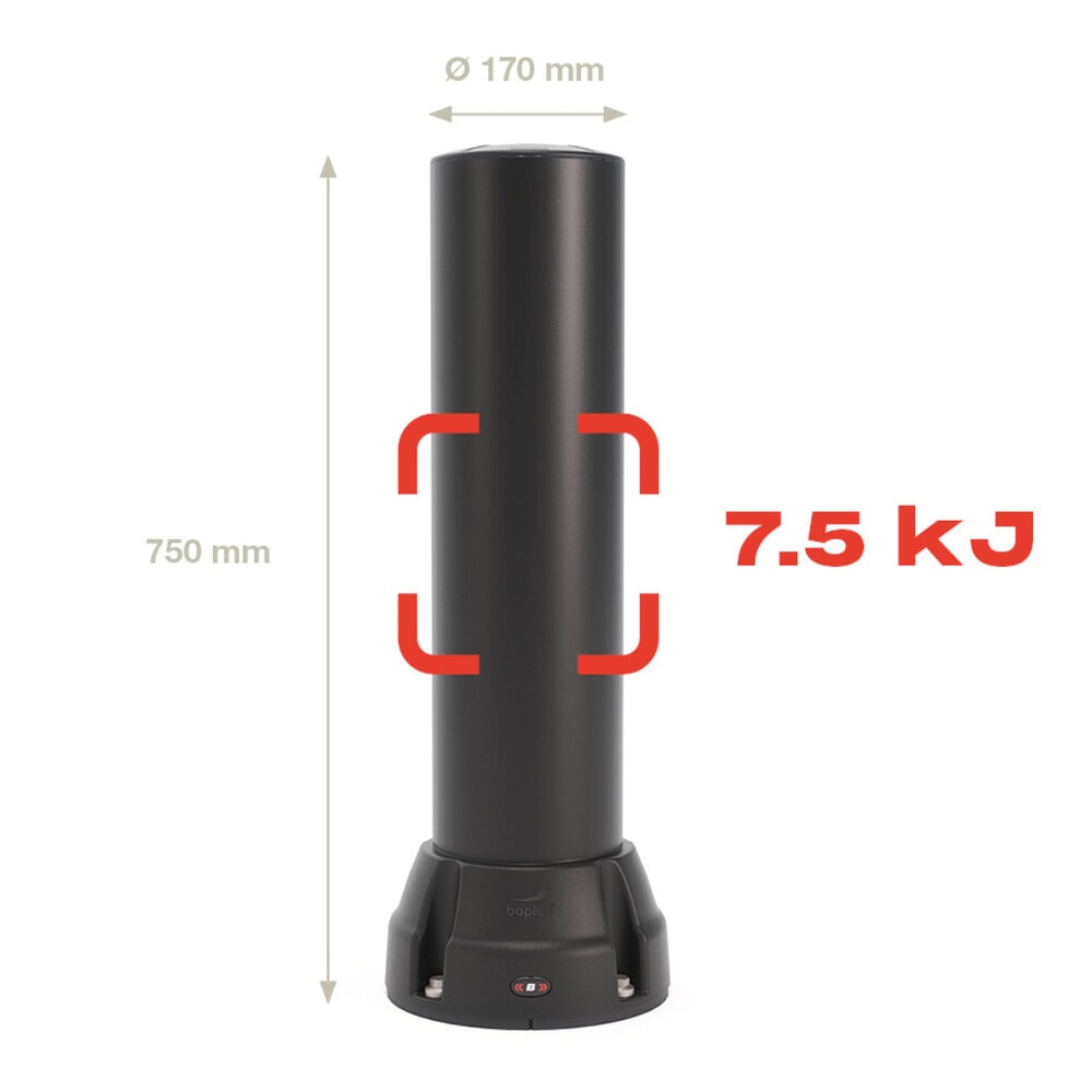 Produktabbildung Nr. 2: BOPLAN® Rammschutzpoller Flex Impact® BO170B, Innen- und Außenbereich, Höhe 750 mm, schwarz