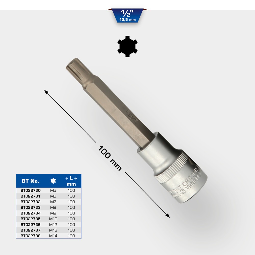 Produktabbildung Nr. 11: BRILLIANT TOOLS 1/2" RIBE-Bit-Stecknuss, 100 mm lang, M10