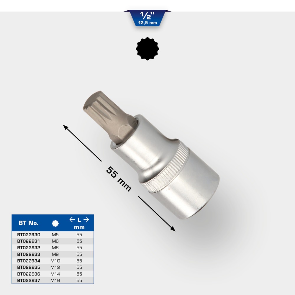 Produktabbildung Nr. 11: BRILLIANT TOOLS 1/2" Vielzahn-Bit-Stecknuss, 55 mm lang, M16