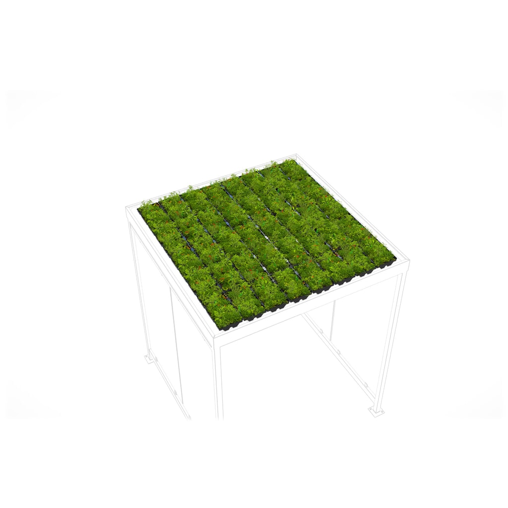 Dachbegrünung GREENPLUS Premium für wsm® Raucherunterstand, Montage im Werk, Premium Version, ca. 4 m² Produktabbildung: Dachbegrünung GREENPLUS Premium für wsm® Raucherunterstand, Montage im Werk, Premium Version, ca. 4 m²