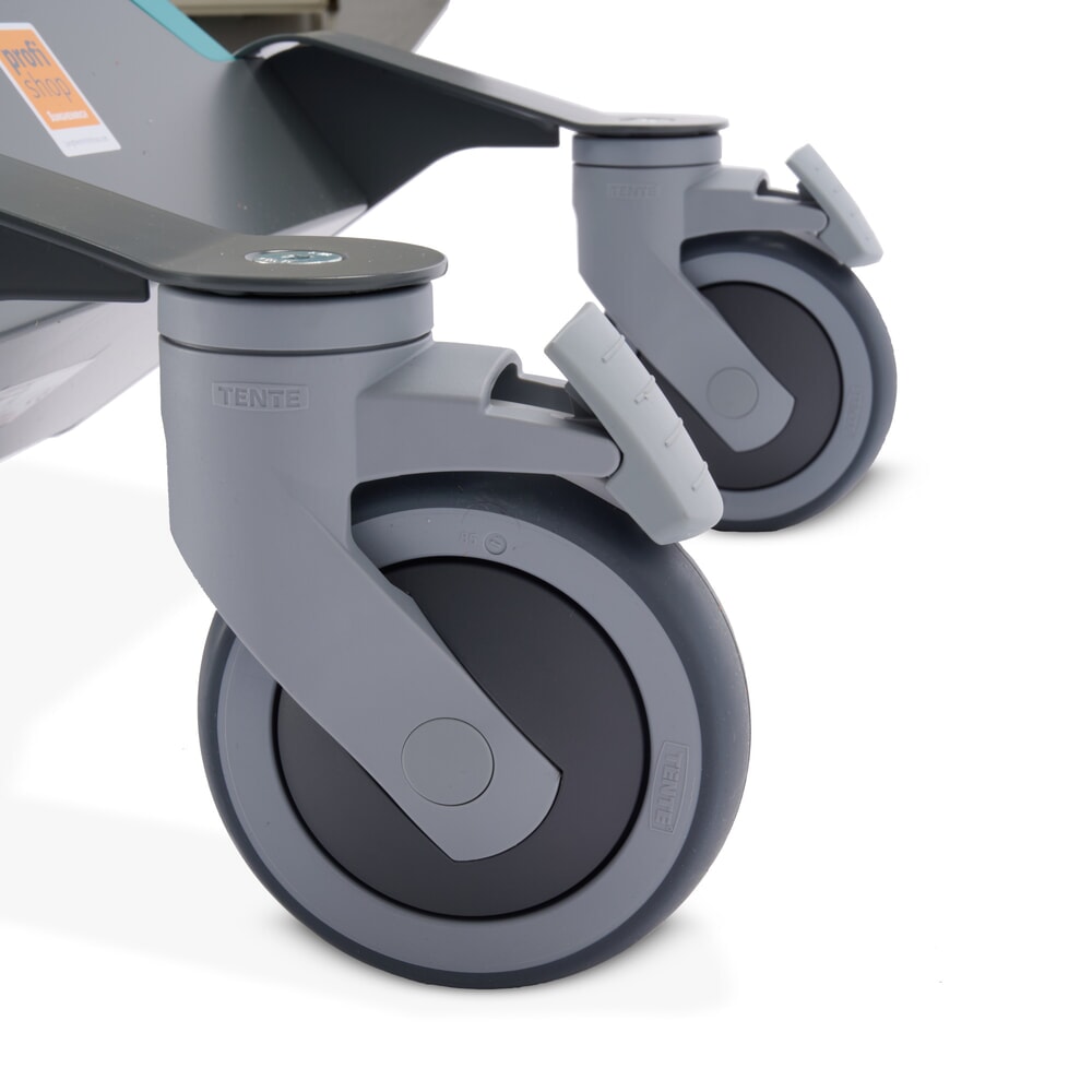 Immagine del prodotto n. 6: Elevatore elettrico Ameise®