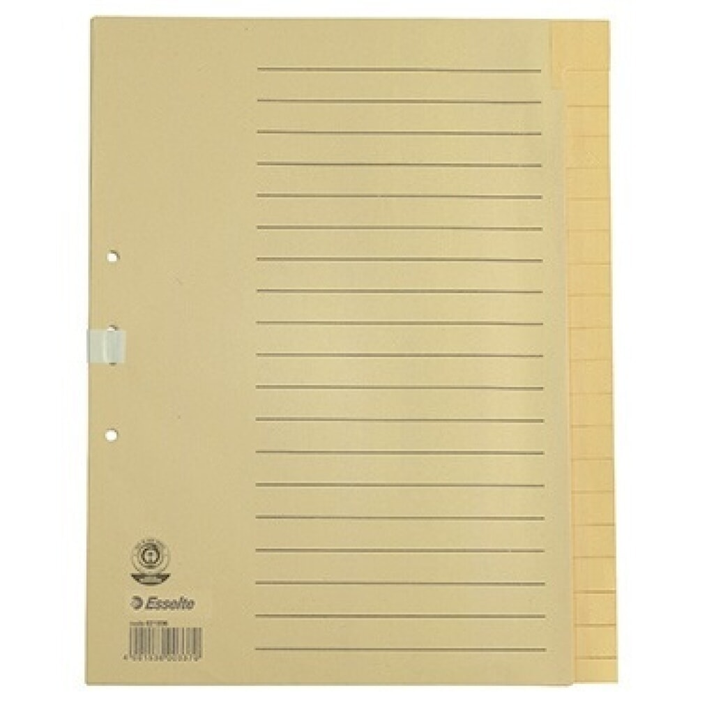 Produktabbildung: Esselte Register 621006 blanko DIN A4 20Bl. Papier chamois