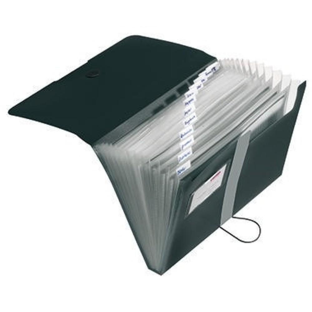 Produktabbildung: Herlitz Fächermappe easy orga to go 11208394 DIN A4 12Fächer PP schwarz