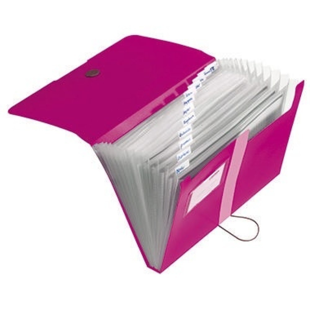 Produktabbildung: Herlitz Fächermappe easy orga to go 11217114 DIN A4 12Fächer PP beere