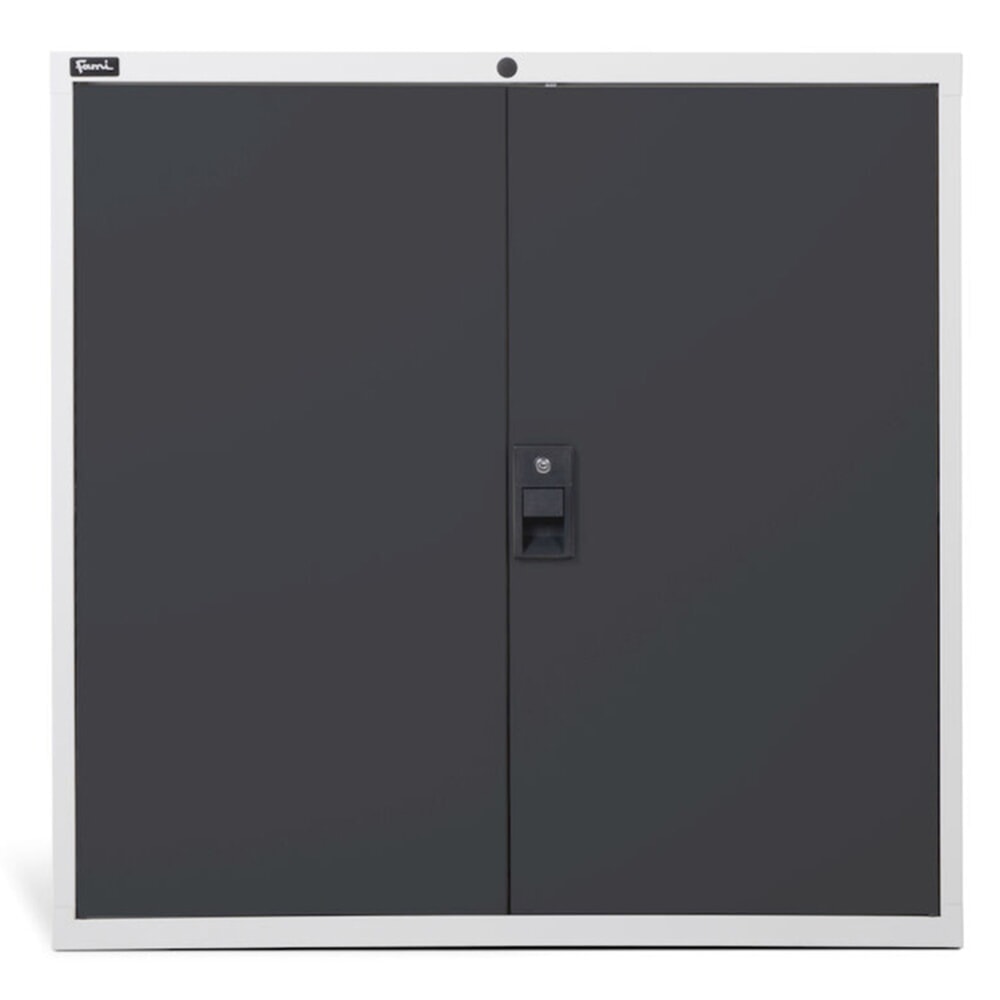 Produktabbildung Nr. 3: Fami MASTER Schrank mit Flügeltüren, HxBxT 1.000 x 1.020 x 726 mm, lichtgrau, anthrazit