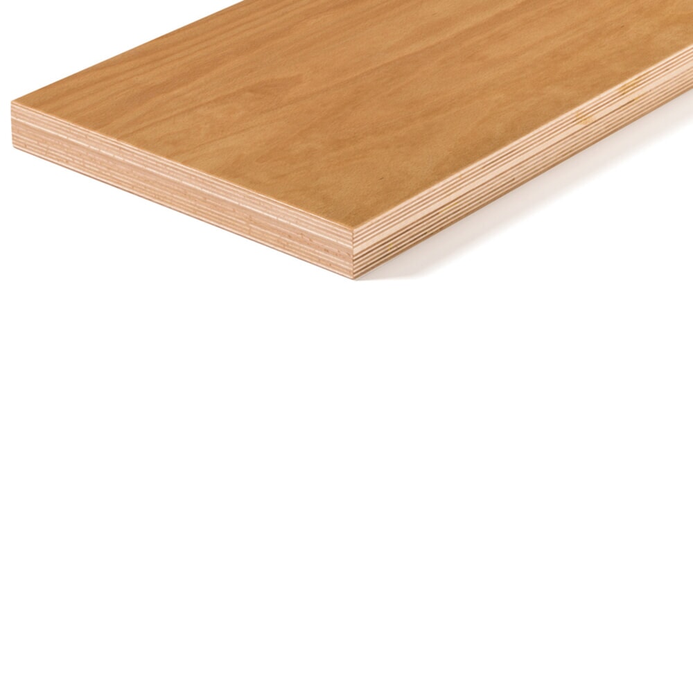 Produktabbildung Nr. 5: Fami Werkbank, höhenverstellbar, TK 1.000 kg, HxBxT 740-1.110 x 1.500 x 750 mm, RAL 7035 lichtgrau / RAL 7016 anthrazitgrau