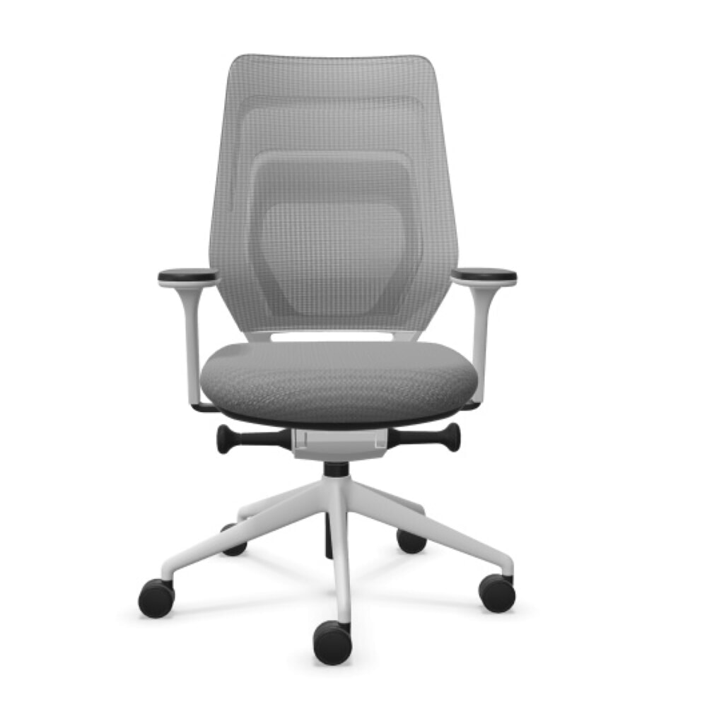 Produktabbildung: FM Büromöbel Schwerlast-Bürostuhl FM asiento, Synchronmechanik, 4D Armlehnen, 3D Sitzneigefunktion, Rückenlehne mit 3D-Strickgewebe, transparent bezogen, ohne Lordosenstütze, hellgrau
