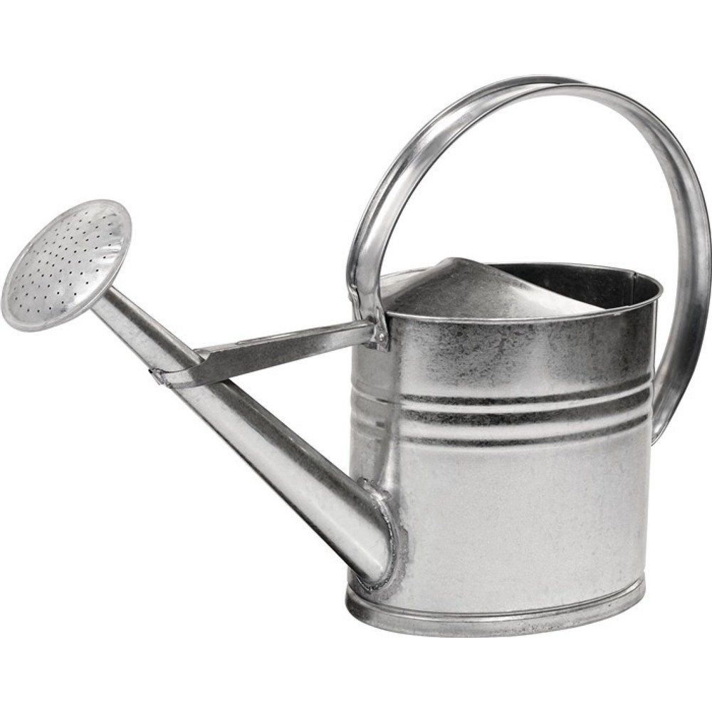 Produktabbildung: Gießkanne 10l silber MET verz.