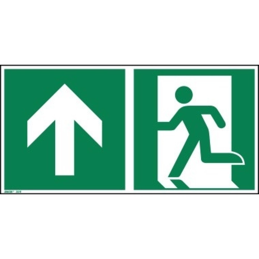 Produktabbildung: Hinweisschild Notausgang geradeaus ISO 7010 300x150mm PVC