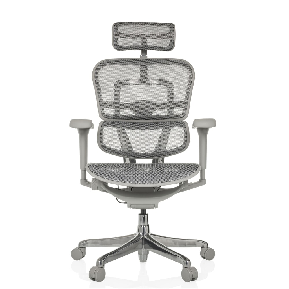 Produktabbildung Nr. 1: hjh OFFICE Chefsessel ERGOHUMAN ULTRA G GEN2, Netzrückenlehne, Tragkraft 120 kg, Sitzhöhe 460 - 580 mm, grau