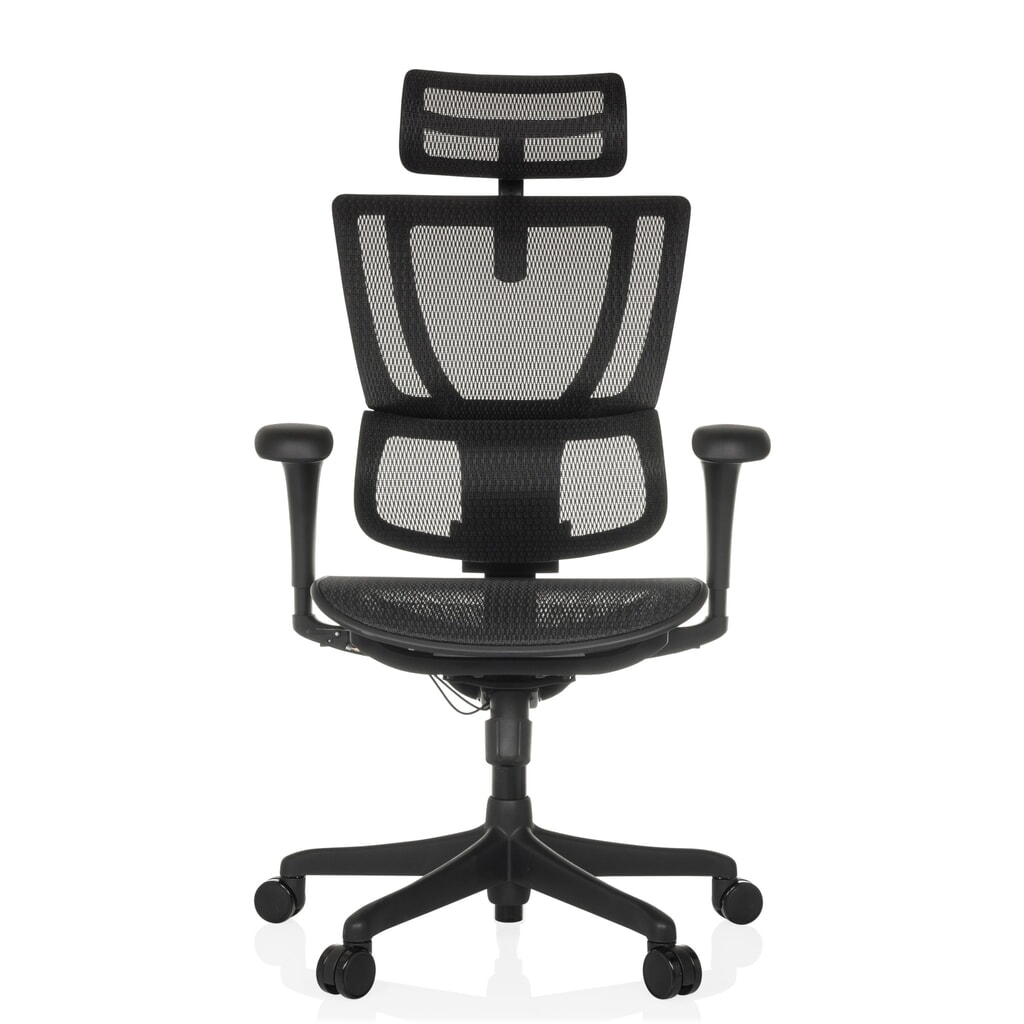 Produktabbildung: hjh OFFICE Chefsessel ERGOHUMAN SLIM ECO M GEN2, mit flexibler Rückenlehne, Tragkraft 120 kg, Höhe 1120 - 1340 mm, Netzstoffsitz, schwarz