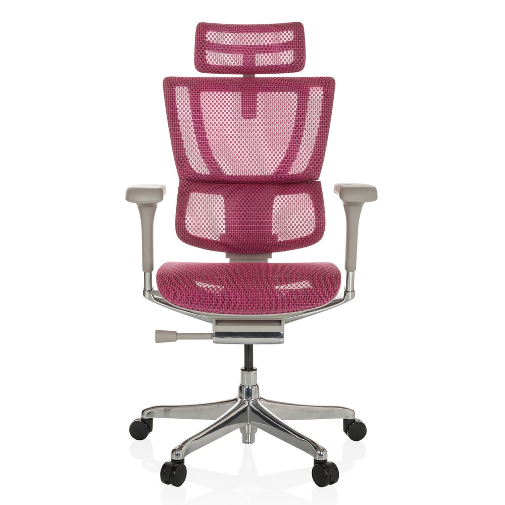 Produktabbildung Nr. 1: hjh OFFICE Chefsessel ERGOHUMAN SLIM G GEN2, mit flexibler Rückenlehne, Tragkraft 150 kg, rosa, Armlehne grau