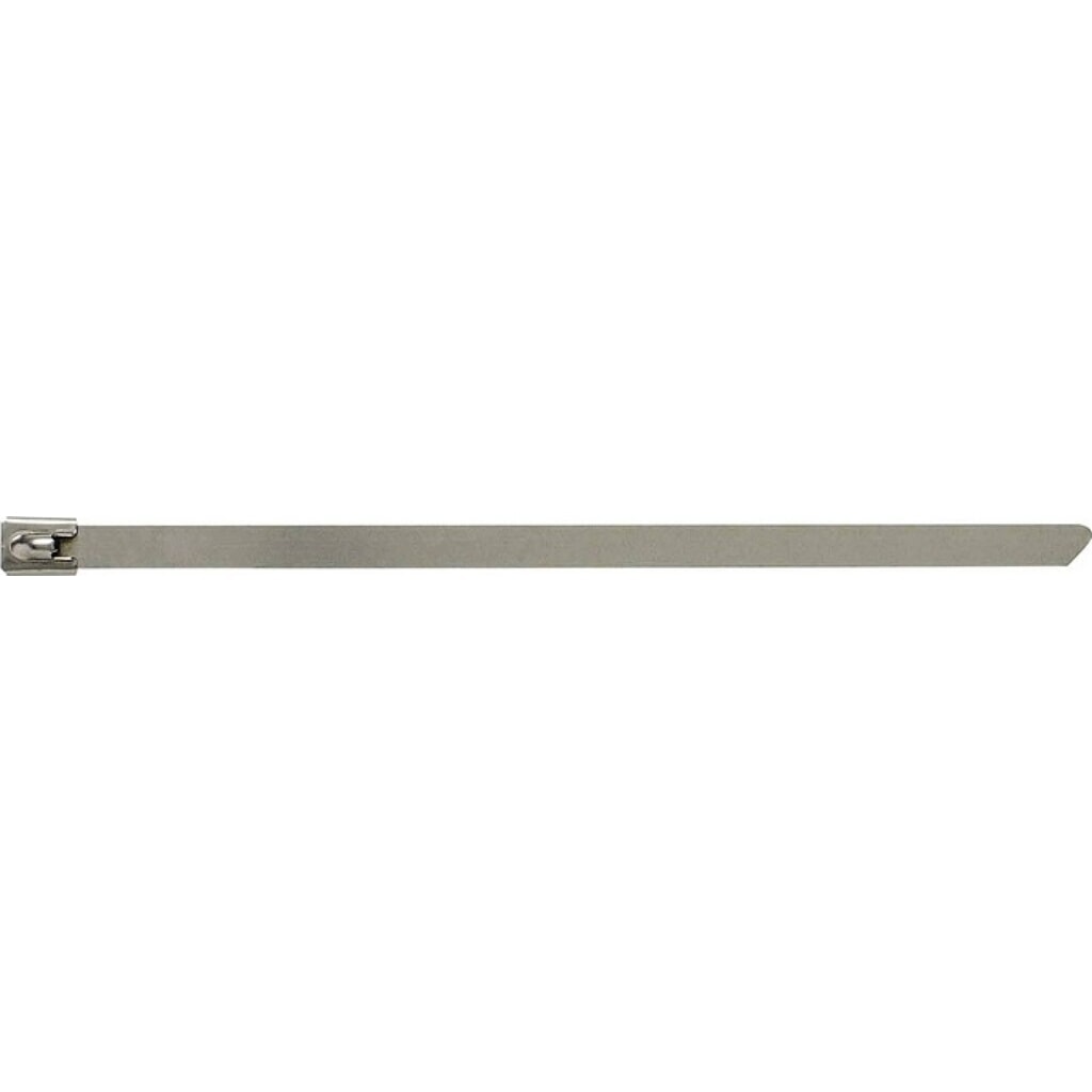 Produktabbildung: Kabelbinder L.520mm B.7,9mm VA 25St./Btl.