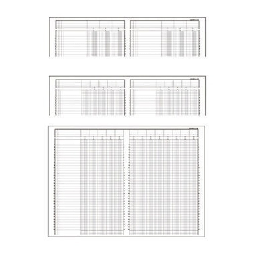 Produktabbildung: Exacompta Spaltenbuch 17100E DIN A4 10Spalten/2Seiten 40Blatt