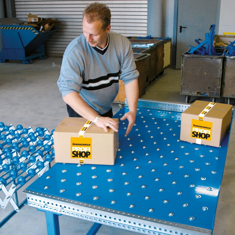 Číslo obrázku produktu 4: BLUME kuličkový dopravní stůl U-profil, Ø 15 mm, d × š 500 × 400 mm, rozteč 150 mm