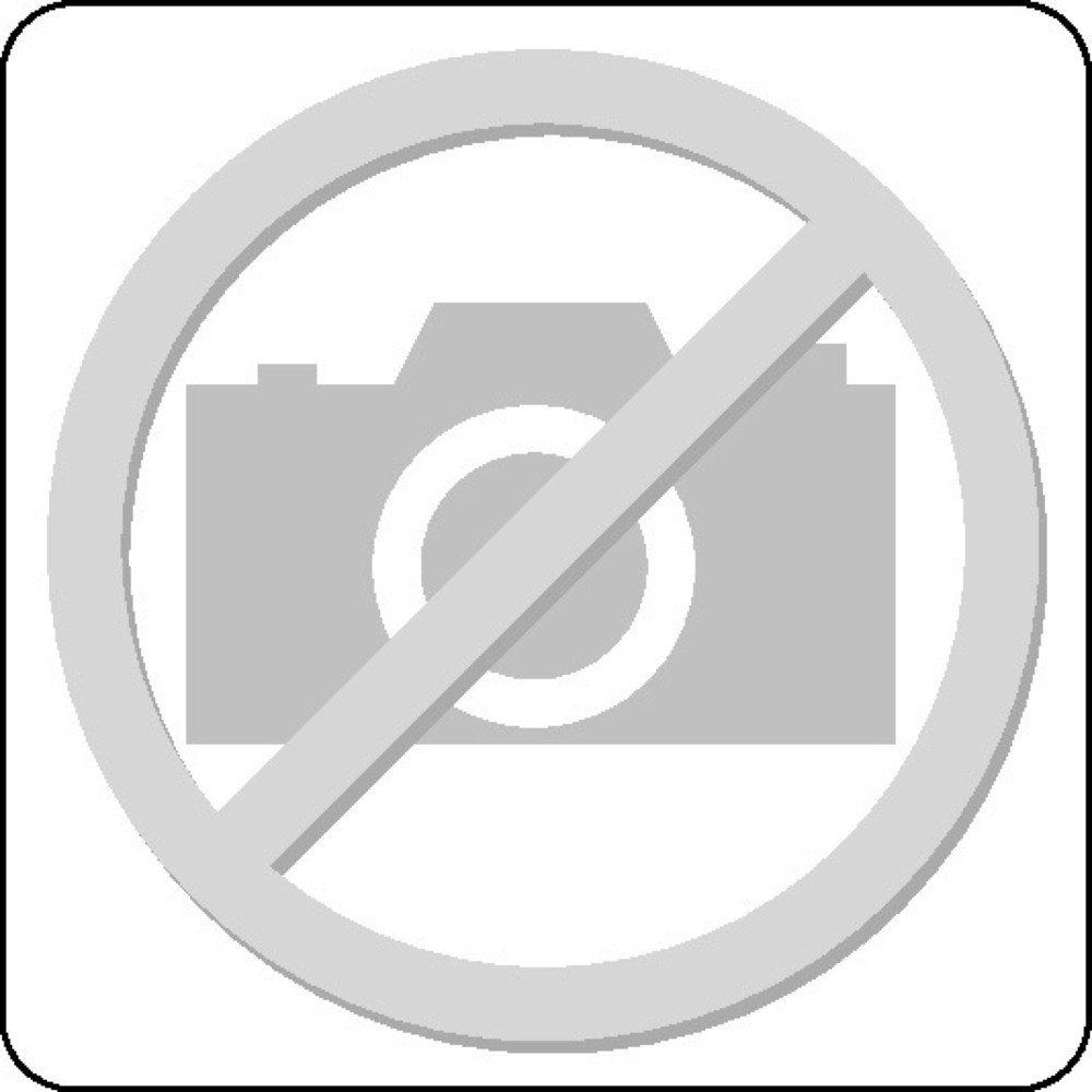 N° de l'image du produit 2 : Säbelsägeblatt S 3456 XF L.200mm B.19mm TPI 6-12 2,1-4,3mm 2 St./Karte