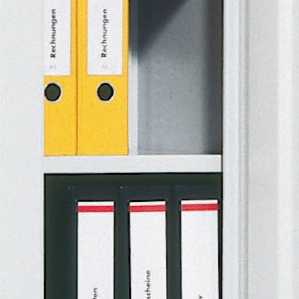 Product afbeelding: Legborden voor C+P draaideurkast, bxd 930 x 400 mm
