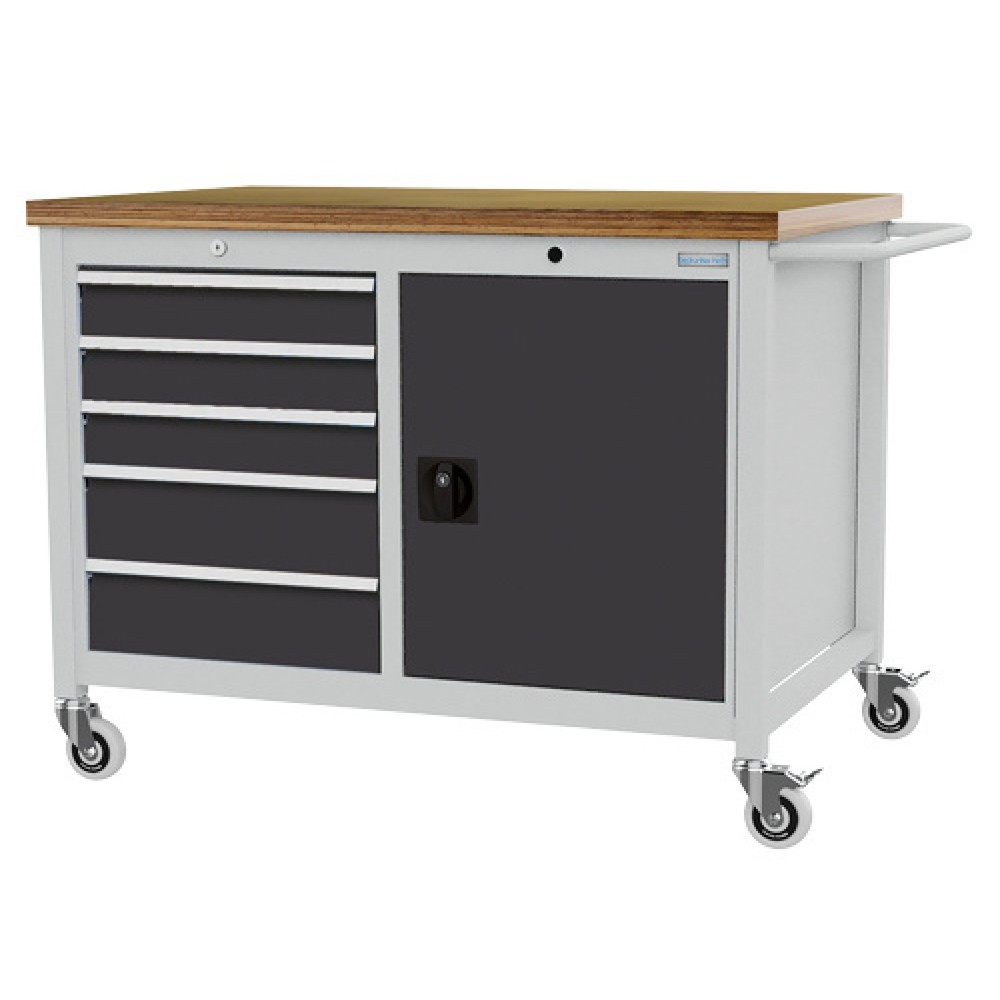 Zdjęcie produktu: Mobilna ława warsztatowa Bedrunka+Hirth R 18-24, wys. x szer. x gł. 950 x 1250 x 750 mm, kolor jasnoszary, kolor antracytowoszary, 5 x szuflada 3 x 100 + 2 x 150 mm, 1 drzwi skrzydłowe 1 x 600 mm