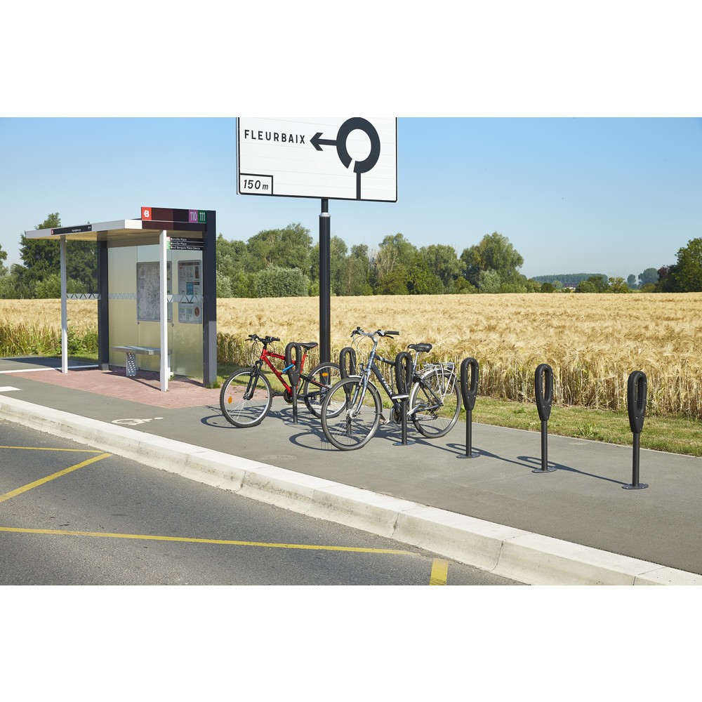 Productafbeelding nr. 16: MOTTEZ paal voor 2 fietsen, lengte 260 mm