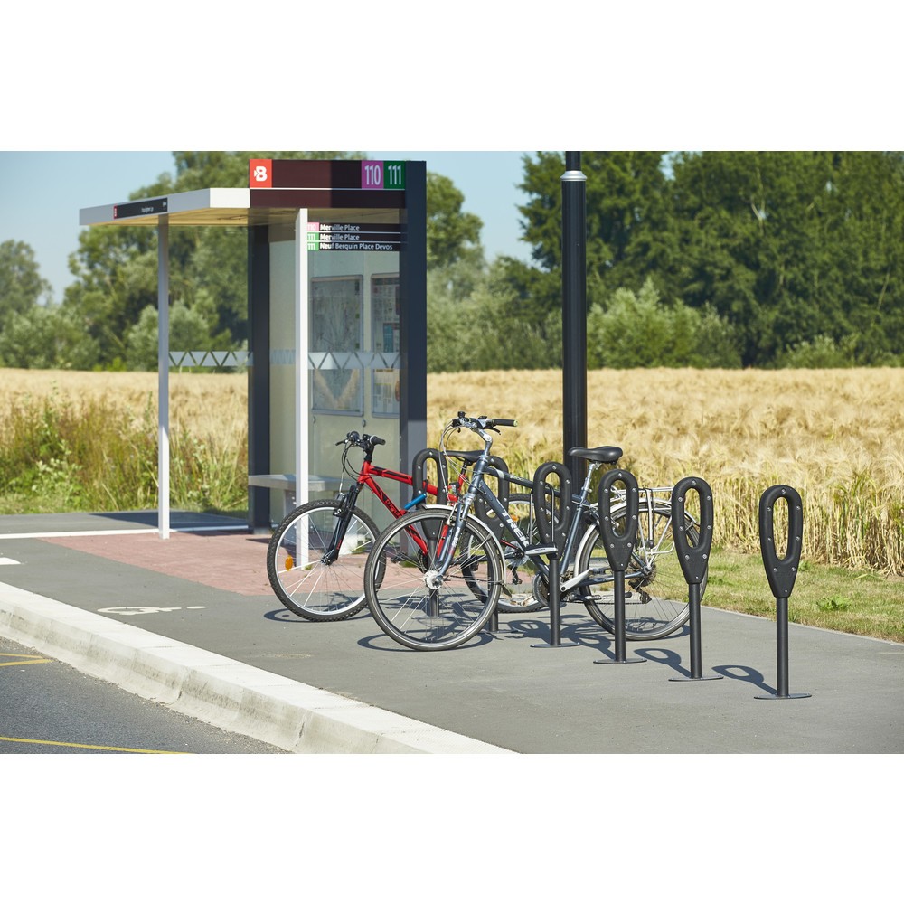 Productafbeelding nr. 12: MOTTEZ paal voor 2 fietsen, lengte 260 mm