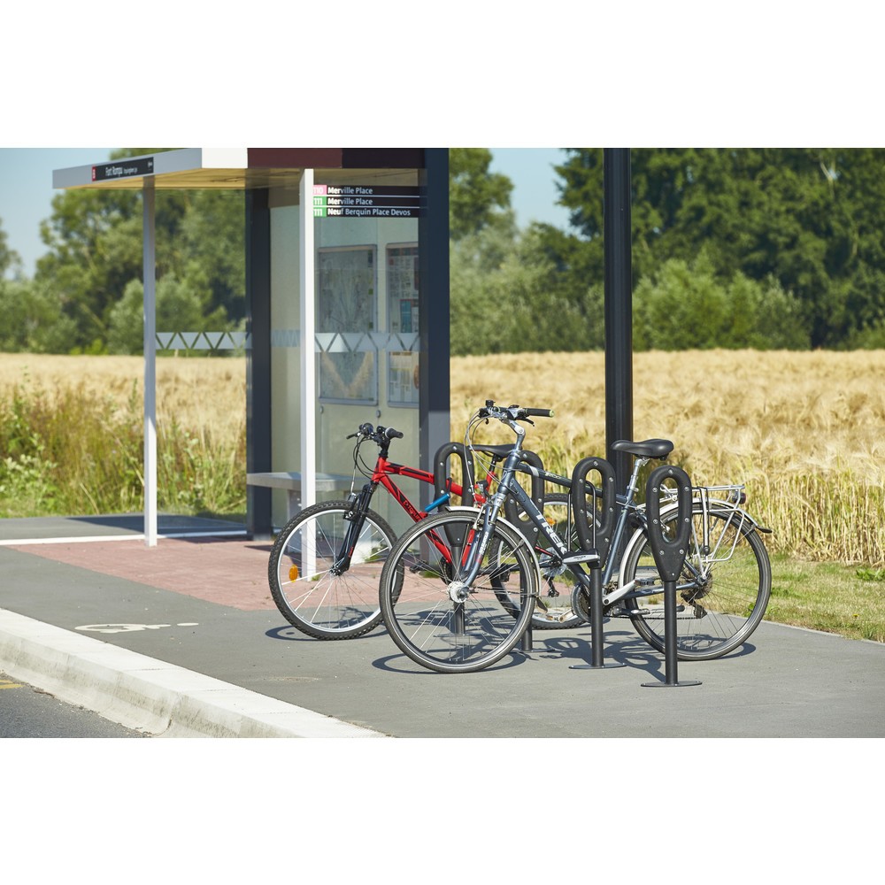 Productafbeelding nr. 11: MOTTEZ paal voor 2 fietsen, lengte 260 mm