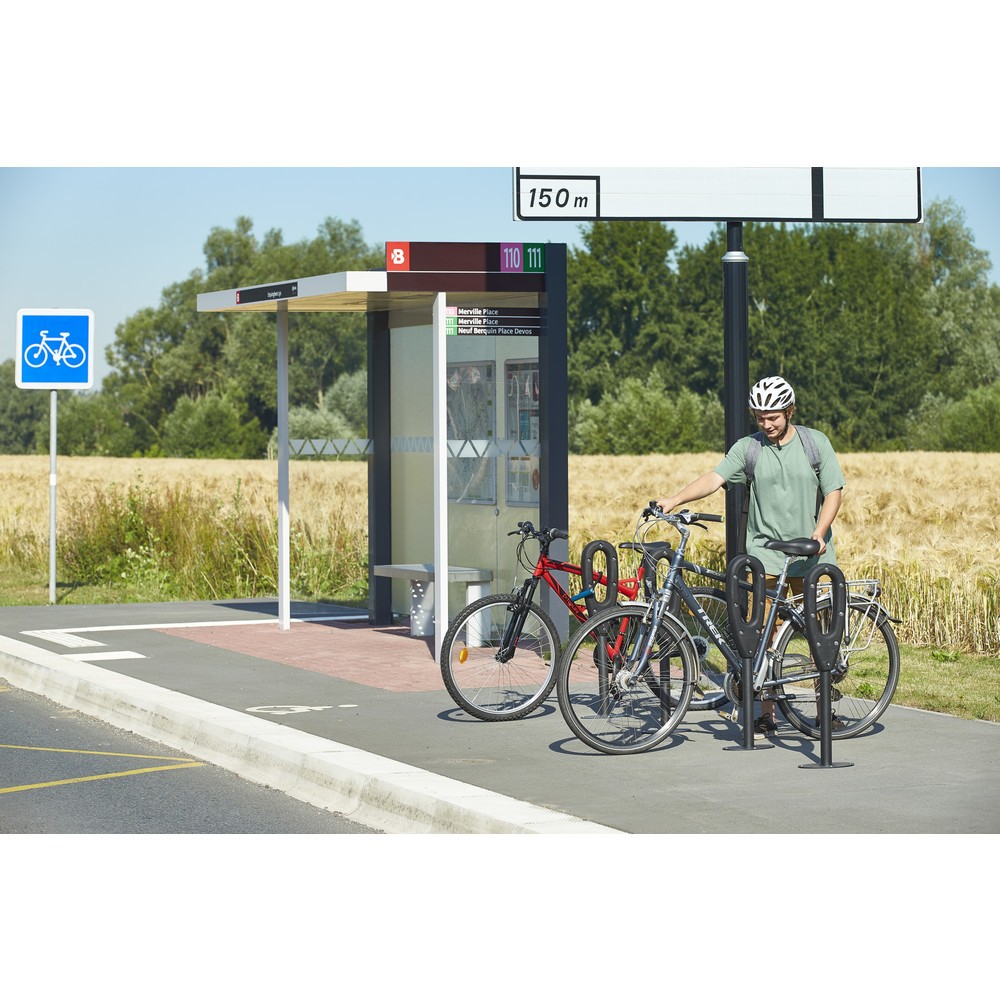 Productafbeelding nr. 5: MOTTEZ paal voor 2 fietsen, lengte 260 mm