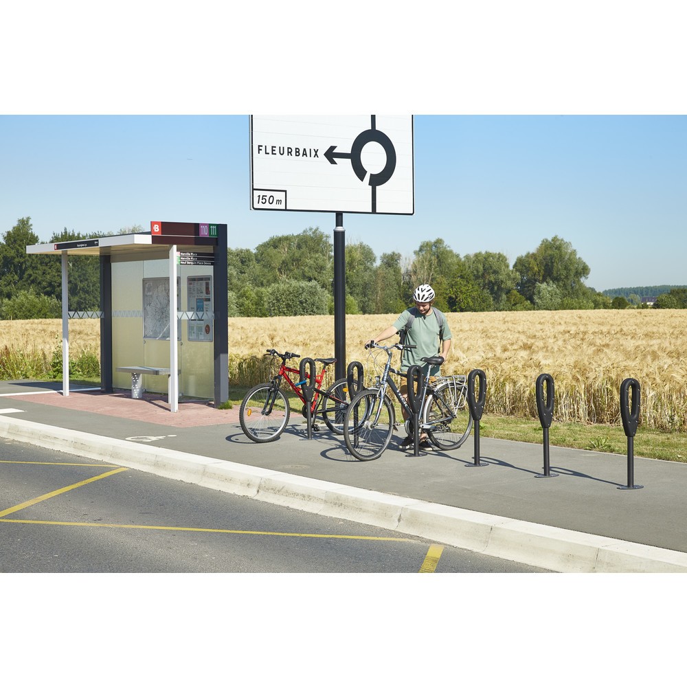 Productafbeelding nr. 3: MOTTEZ paal voor 2 fietsen, lengte 260 mm