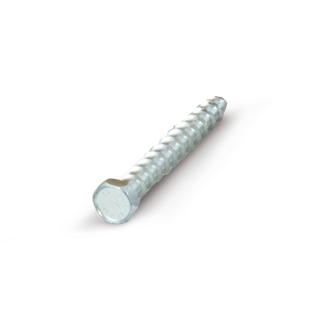 Multi-Monti Schraubenanker 6-kt. MMSplus-SS 12 x 100/10/25 Produktabbildung: Multi-Monti Schraubenanker 6-kt. MMSplus-SS 12 x 100/10/25