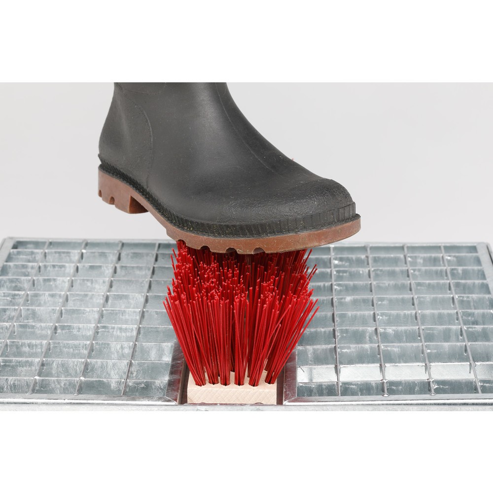 N° de l'image du produit 2 : Nettoyeur à chaussures VAR® S3, avec grille