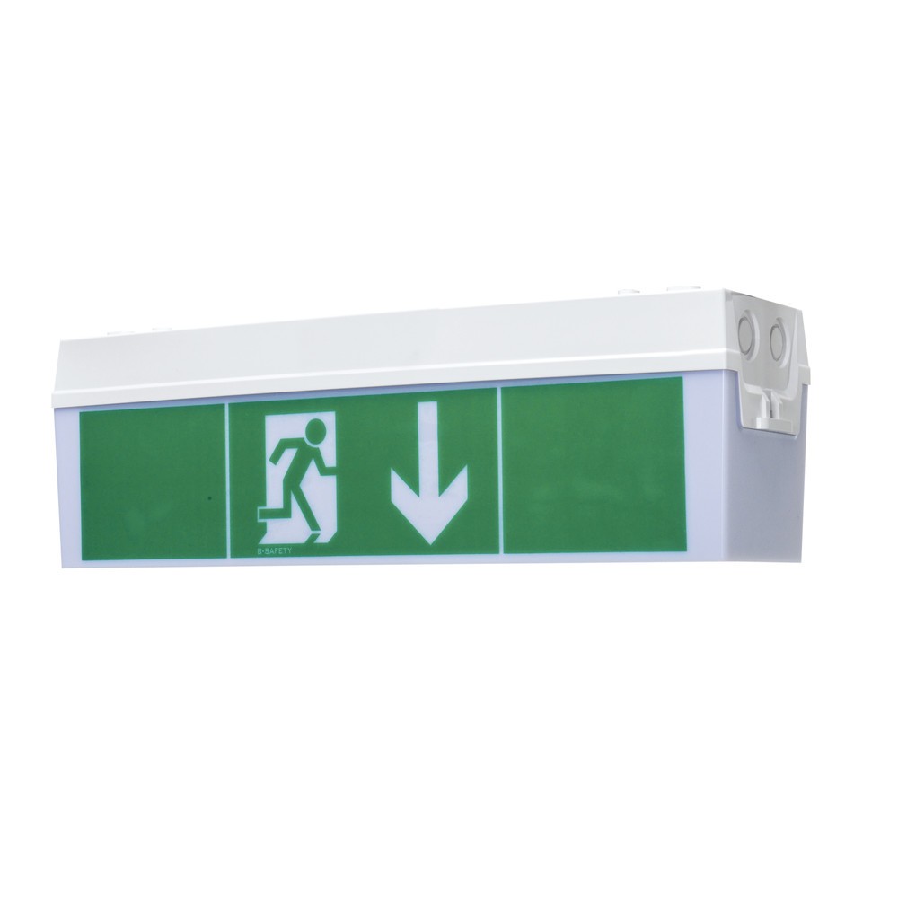 Product afbeelding: Reddingslicht Basic, wand- en plafondmontage, veiligheidsklasse II, IP 54