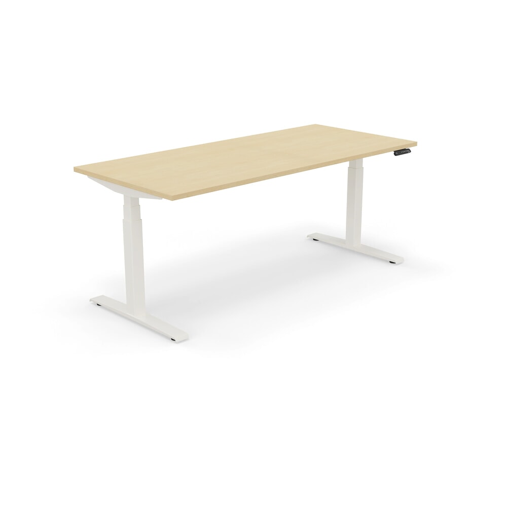 Produktabbildung: Nowy Styl elektrisch höhenverstellbarer Schreibtisch (650 - 1.310 mm), eModel 3.0, BxT 1600 x 800 mm, ahorn, reinweiß
