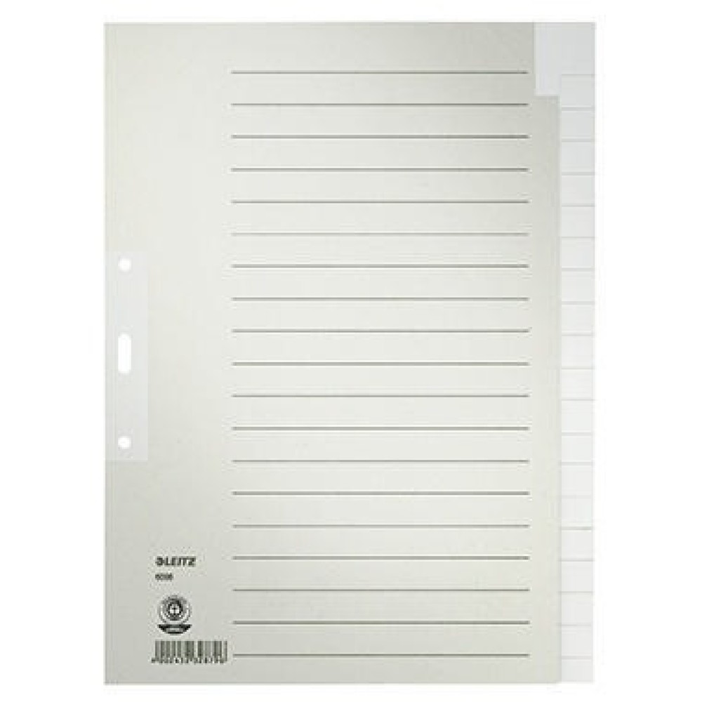 Produktabbildung: Leitz Register 60960085 blanko DIN A4 Tauenpapier grau