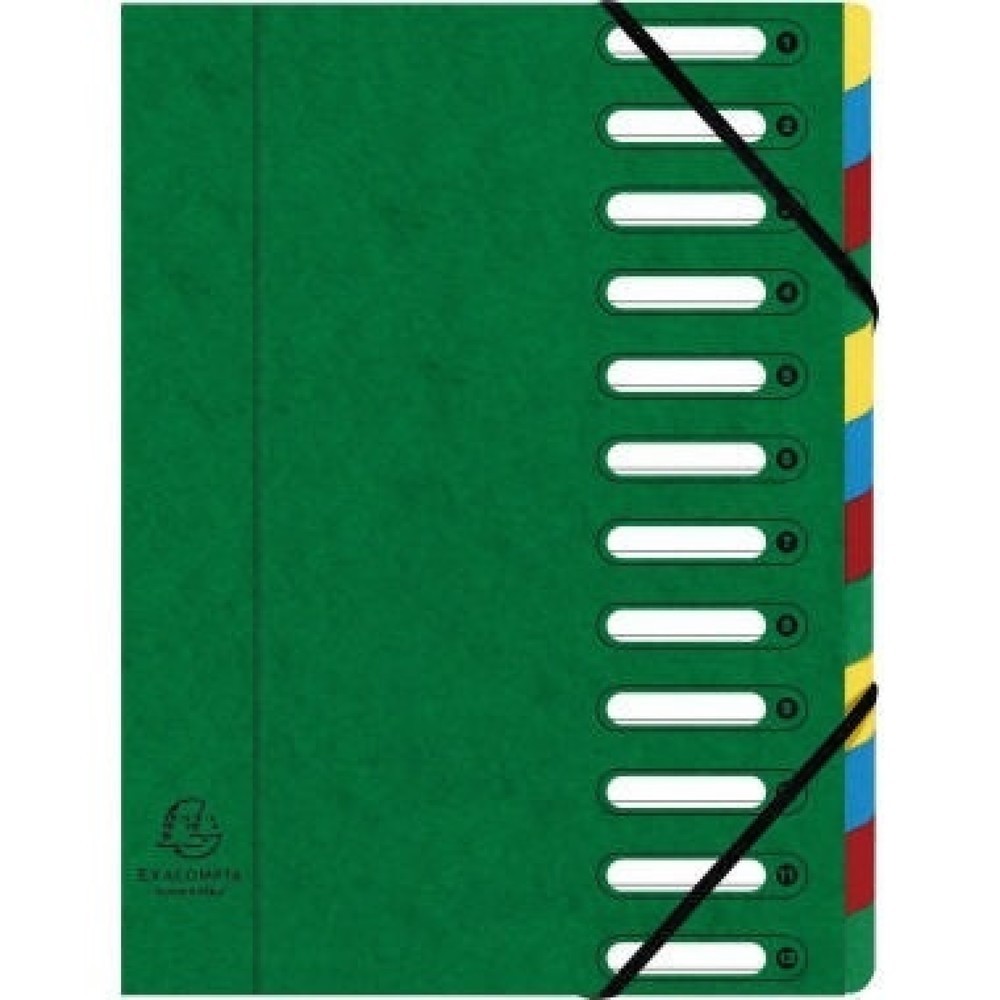 Produktabbildung: Exacompta Ordnungsmappe Harmonika 55123E DIN A4 12Fächer grün