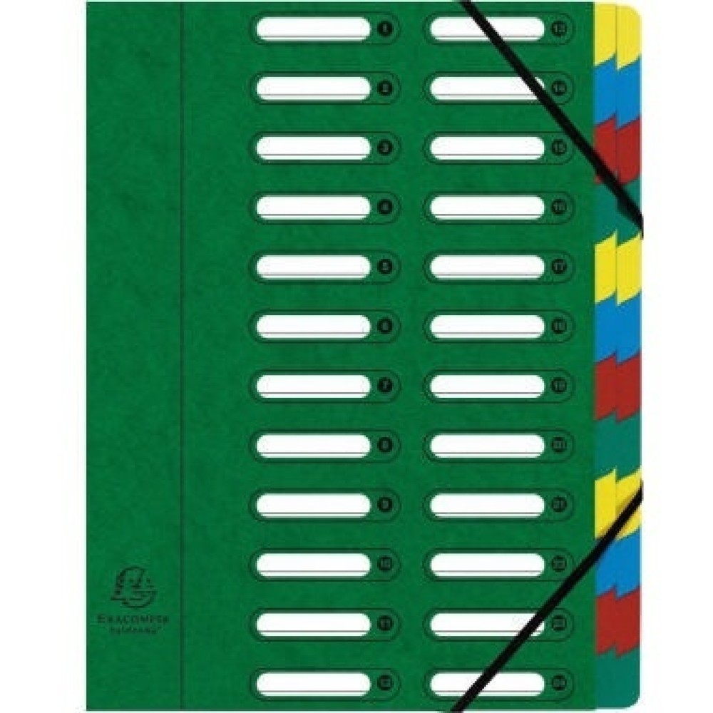 Produktabbildung Nr. 1: Exacompta Ordnungsmappe Harmonika 55243E DIN A4 24Fächer grün