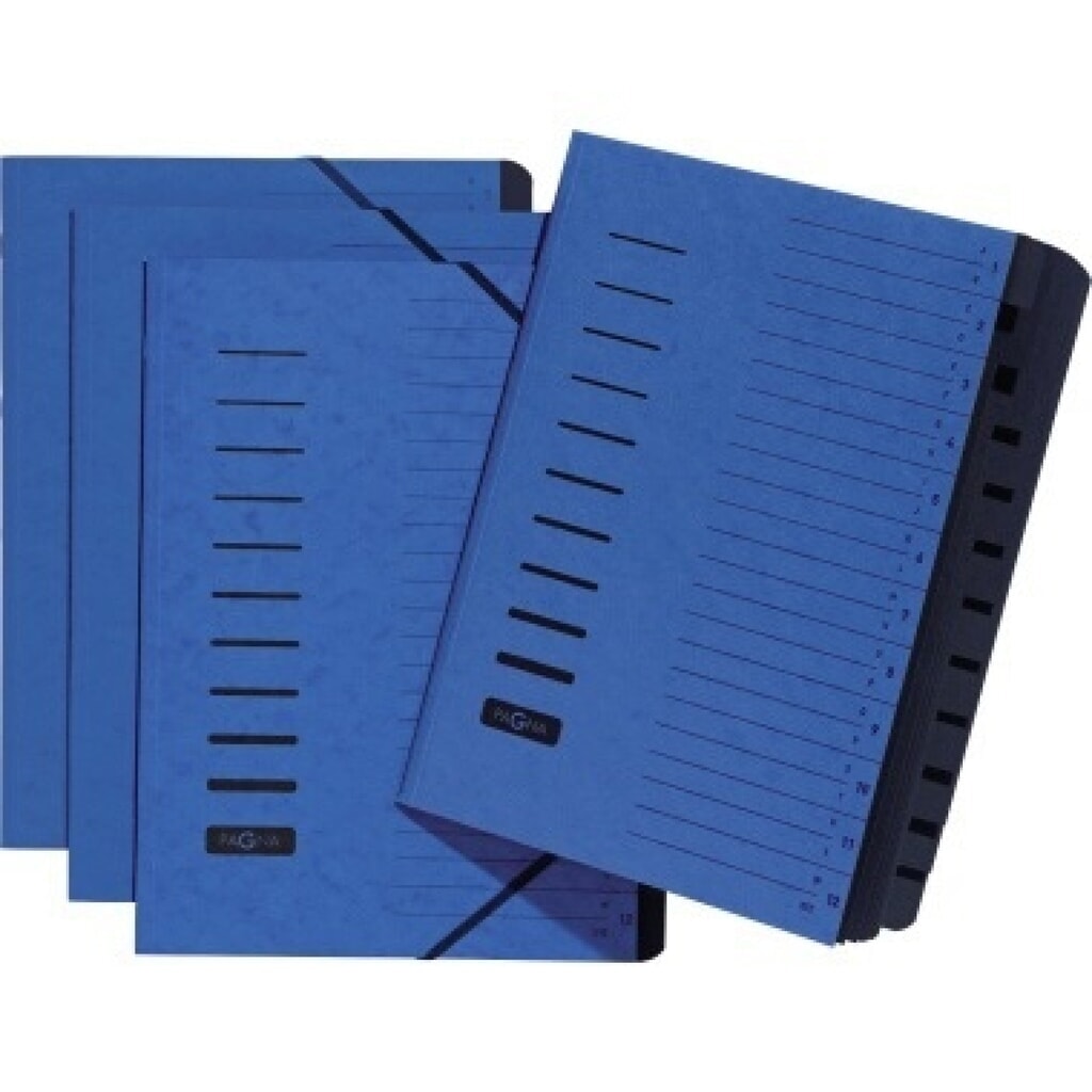 PAGNA Ordnungsmappe 24122-02 DIN A4 12Fächer A-Z/1-12 blau Produktabbildung: PAGNA Ordnungsmappe 24122-02 DIN A4 12Fächer A-Z/1-12 blau