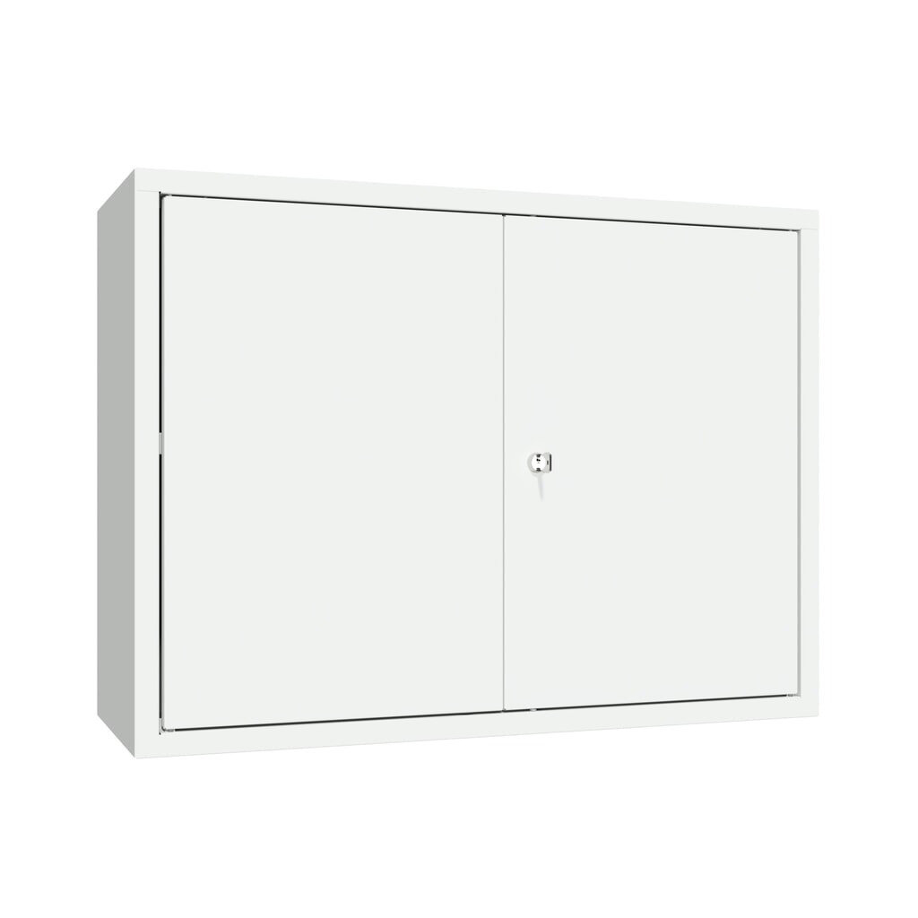Produktabbildung: PAVOY Hängeschrank, HxBxT 600 x 800 x 300 mm, lichtgrau, lichtgrau