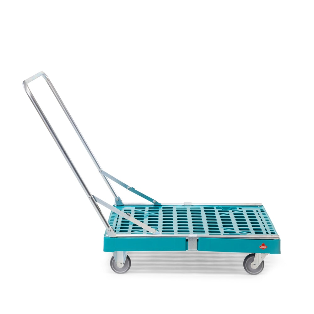N° de l'image du produit 2 : Ameise® Plateau à roulettes avec dossier de poussée, capacité de charge 300 kg, 2 roues fixes et 2 roues directrices