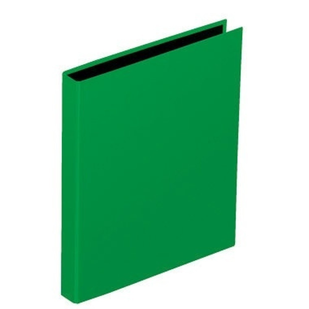 Produktabbildung Nr. 1: PAGNA Ringbuch Basic Colours 20605-05 DIN A4 4Ringe PP grün