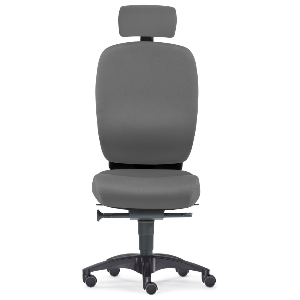 Imagen del producto: Silla giratoria de oficina PROFI, asiento de disco intervertebral, talla L, gris