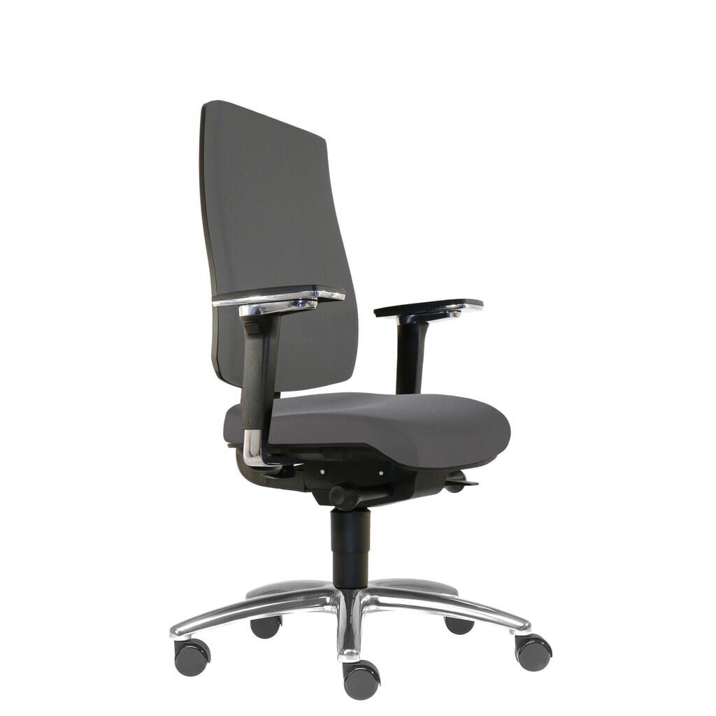 SITWELL STEIFENSAND Bandscheiben-Bürostuhl Cebra, vollflächige Kunststoff-Rückenschale, Universalrollen, Polyester, dunkelgrau Produktabbildung: SITWELL STEIFENSAND Bandscheiben-Bürostuhl Cebra, vollflächige Kunststoff-Rückenschale, Universalrollen, Polyester, dunkelgrau