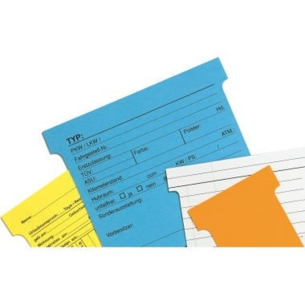 Produktabbildung Nr. 2: FRANKEN T-Karte TK219 Größe2 84x48mm hellgrün 100 St./Pack.