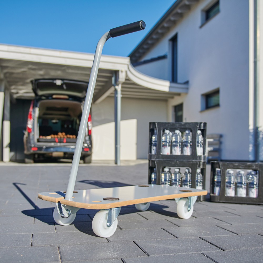 N° de l'image du produit 6 : WAGNER Aide au transport CARRIER MDF EXTREME- 79 x 39 x 13,5 cm, capacité de charge 200 kg