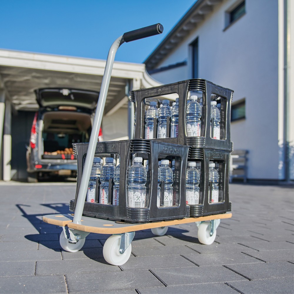 N° de l'image du produit 7 : WAGNER Aide au transport CARRIER MDF EXTREME- 79 x 39 x 13,5 cm, capacité de charge 200 kg