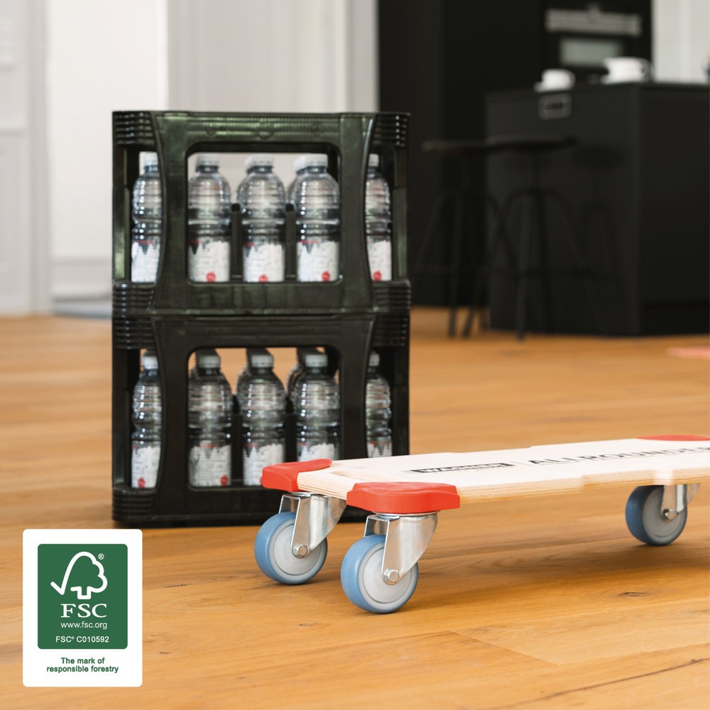 N° de l'image du produit 7 : WAGNER Aide au transport Multiplex PROTECTION - 59 x 29 x 11 cm, capacité de charge 400 kg