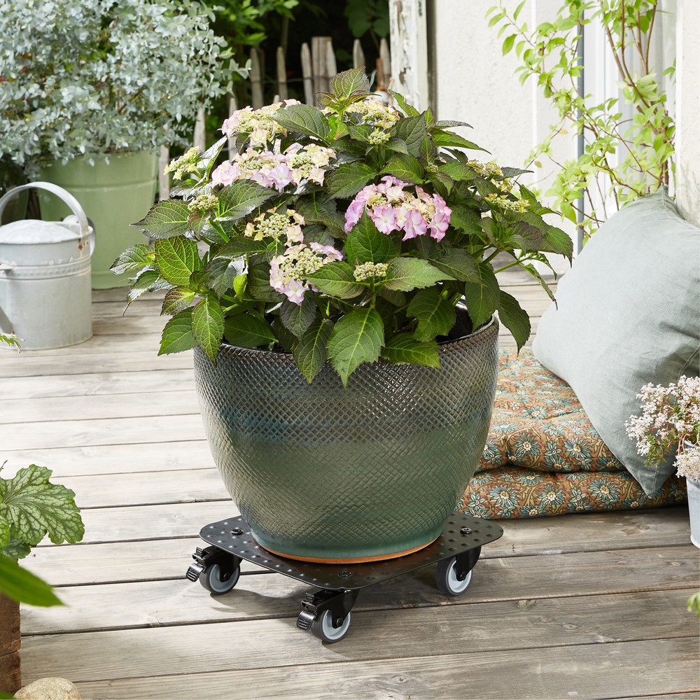 N° de l'image du produit 2 : WAGNER Rouleur pour plantes ALASKA BLACK 29 x 29 x 7,5 cm, capacité de charge 150 kg