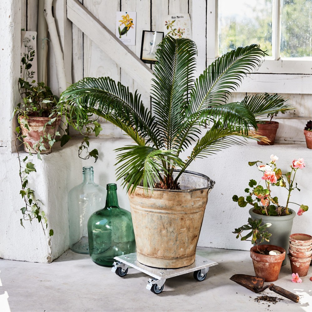 N° de l'image du produit 2 : WAGNER Rouleur pour plantes ALASKA - 28 x 28 x 7,5 cm, alu, capacité de charge 150 kg